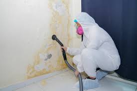 Why You Should Choose Our Mold Remediation Services in Cattaraugus, NY